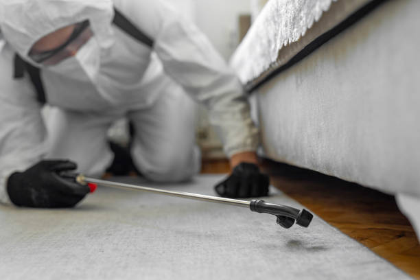 Professional Ant Control technician working in Broadmoor, CA